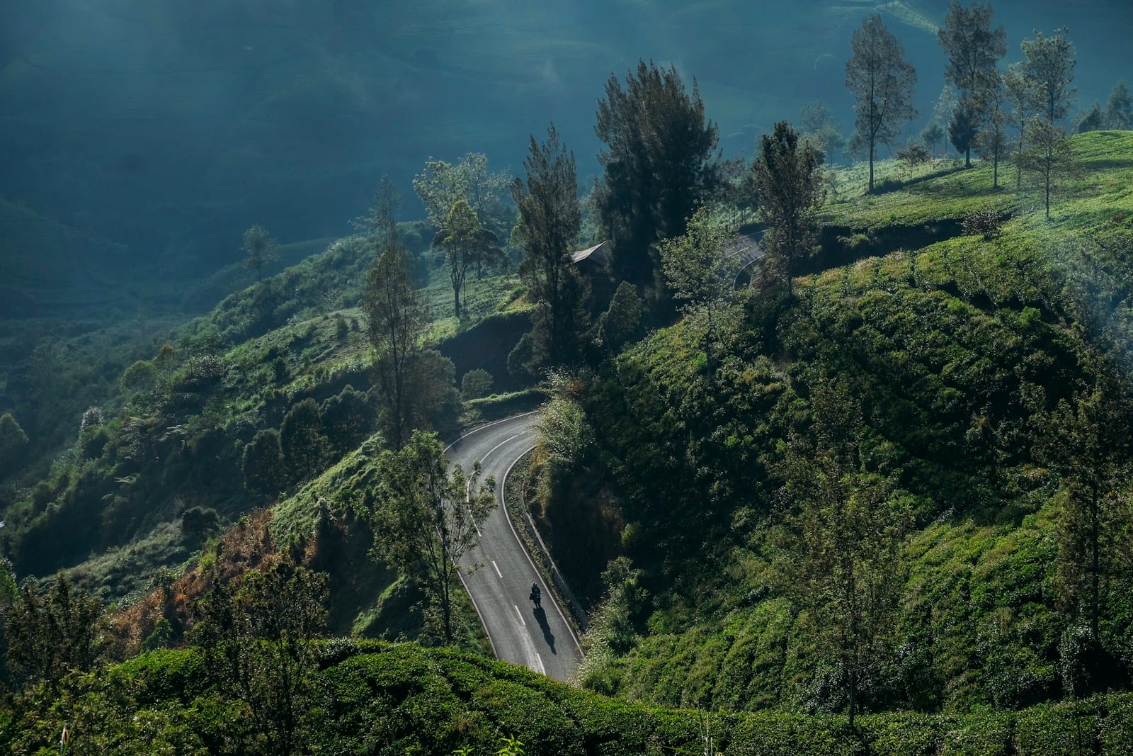 aerial view of road surrounded with mountains